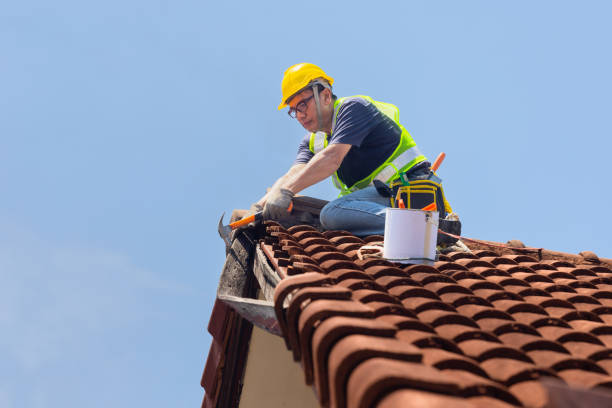 Best Roof Coating and Sealing  in Mount Pleasant, MI